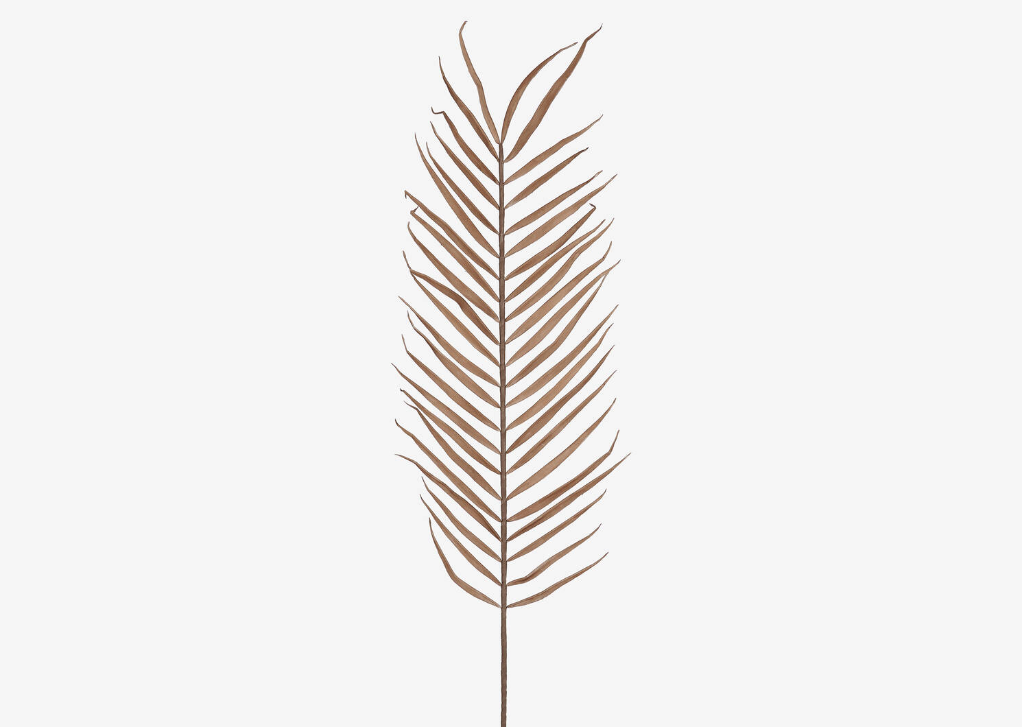 Zyla Palm Stem Tall Latte