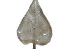 Eli Poplar Leaf