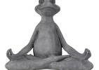 Asana Yoga Frog Mudra Hands Grey