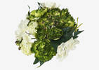 Bouquet de fleurs mélangées Beatrix