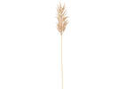 Raul Broom Corn Stem