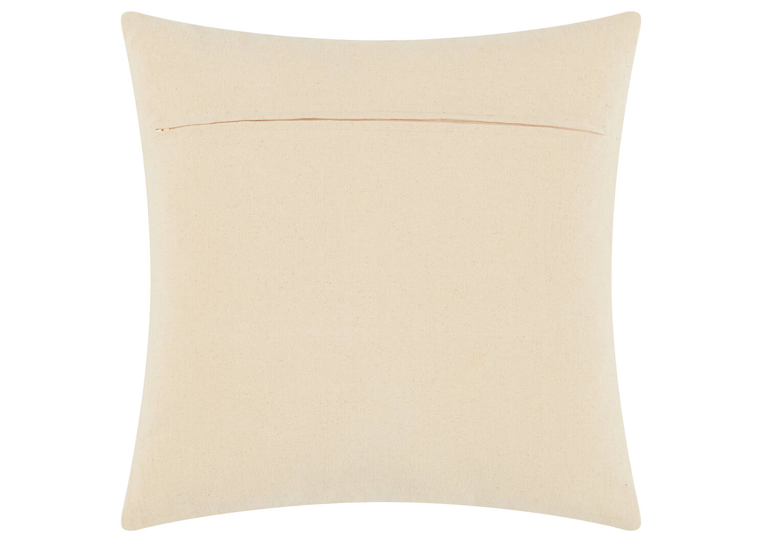 Kamika Cotton Pillow 20x20 Natural/Bl