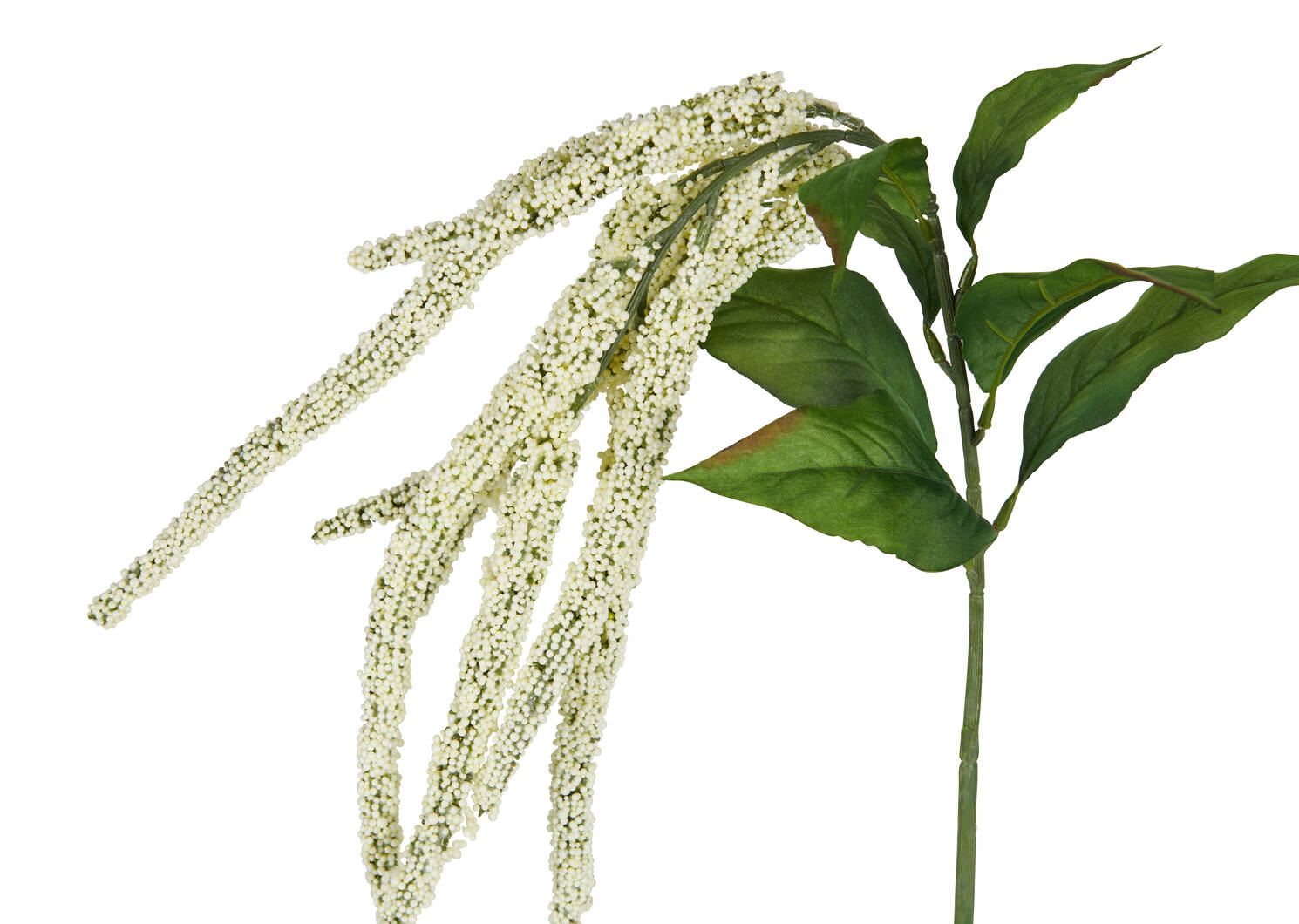 Glora Amaranthus Branch White