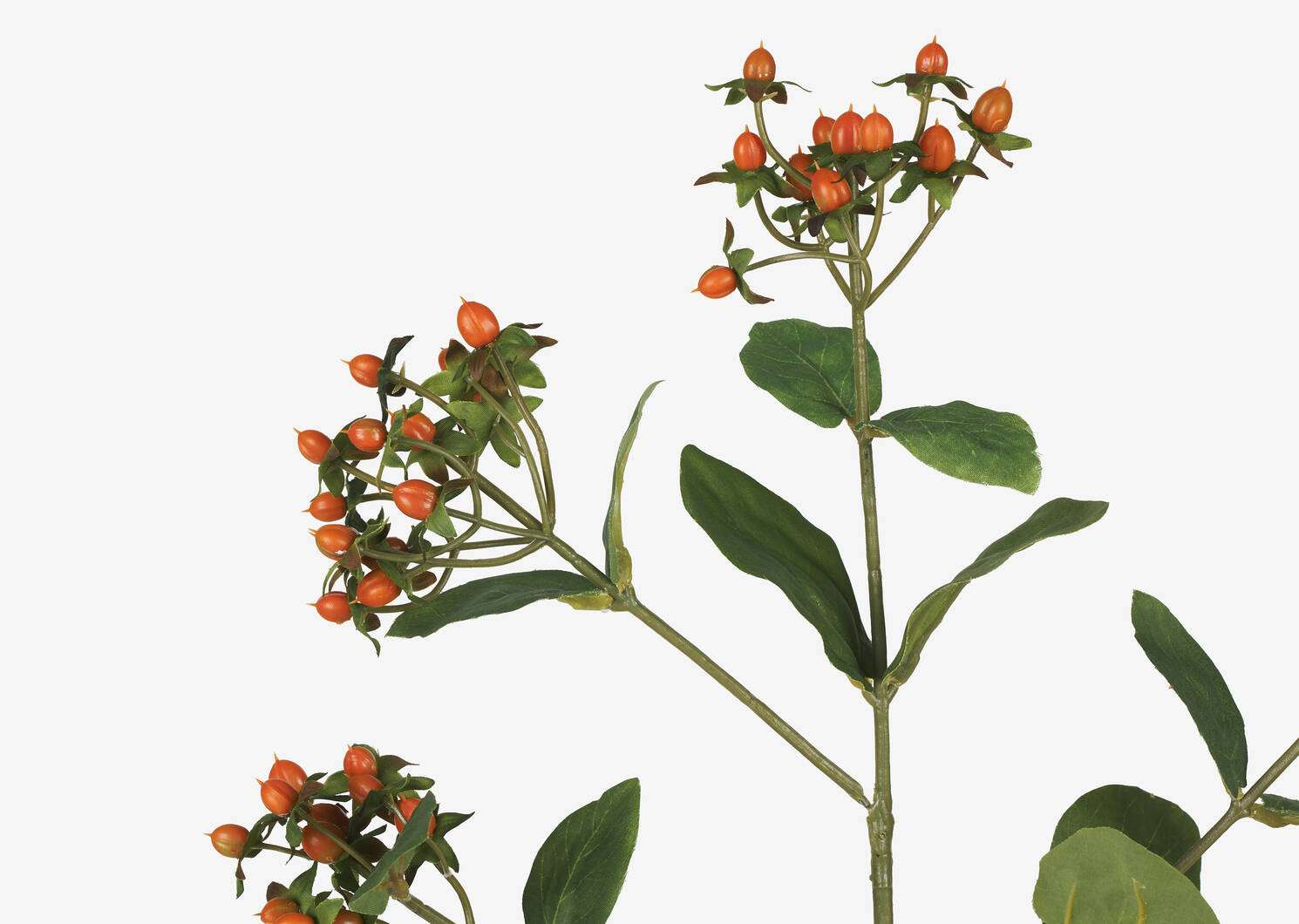 Hilda Hypericum Spray Branch