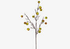 Bode Berry Branch Green