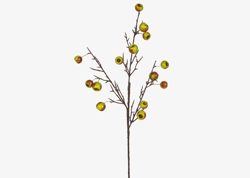 Bode Berry Branch Green