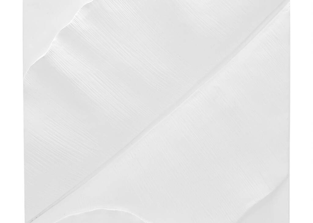 Carreau mural feuille Tropica blanc