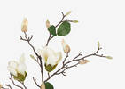 Keery Magnolia Branch Ivory
