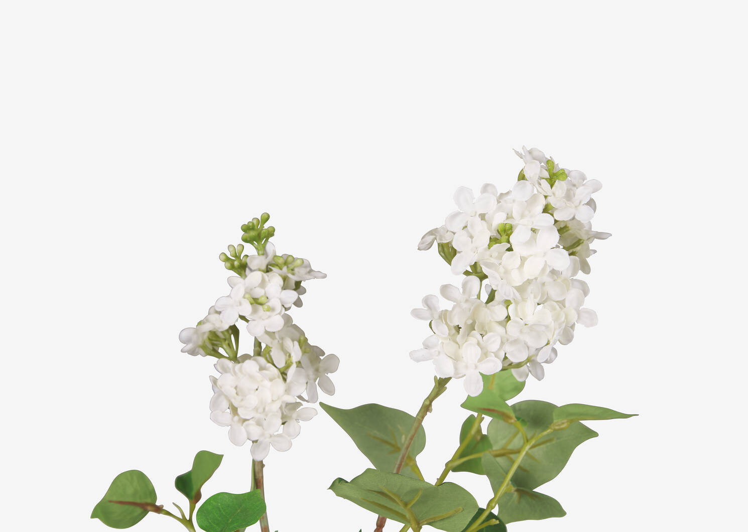 Domenica Lilac Branch