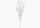 Mamie Grass Stem White