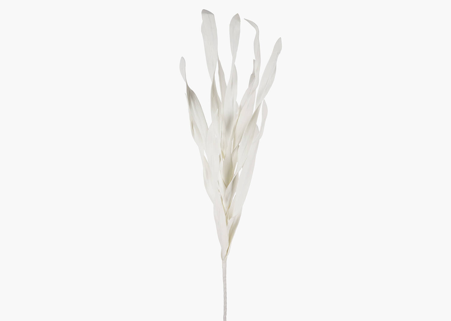 Mamie Grass Stem White