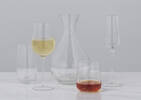 Vivant Champagne Flute Clear