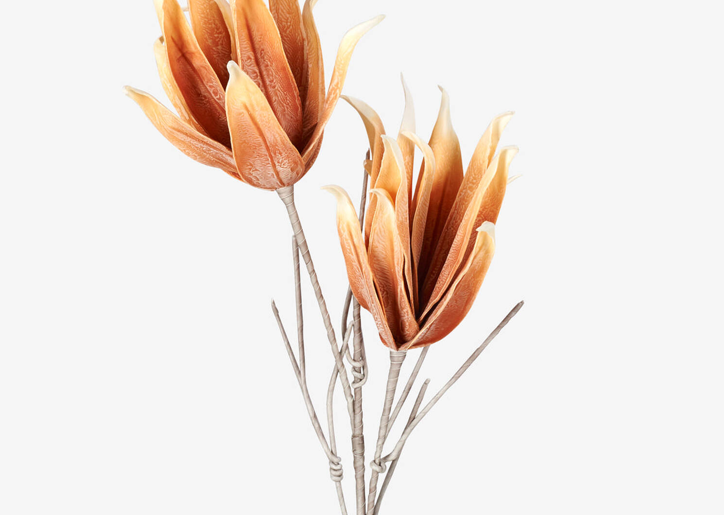 Cerro Flower Branch Umber