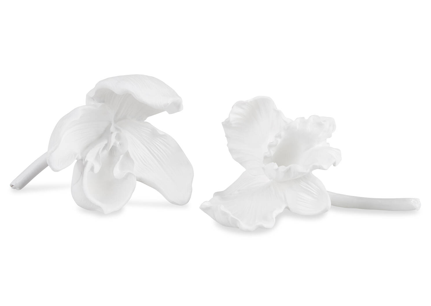 Evanora Orchid Décor White