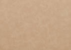 Haylin Dining Chair -Neiman Tan