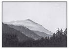 Highland Wall Art