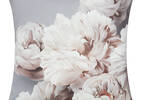 Baroness Peony Toss 20x20