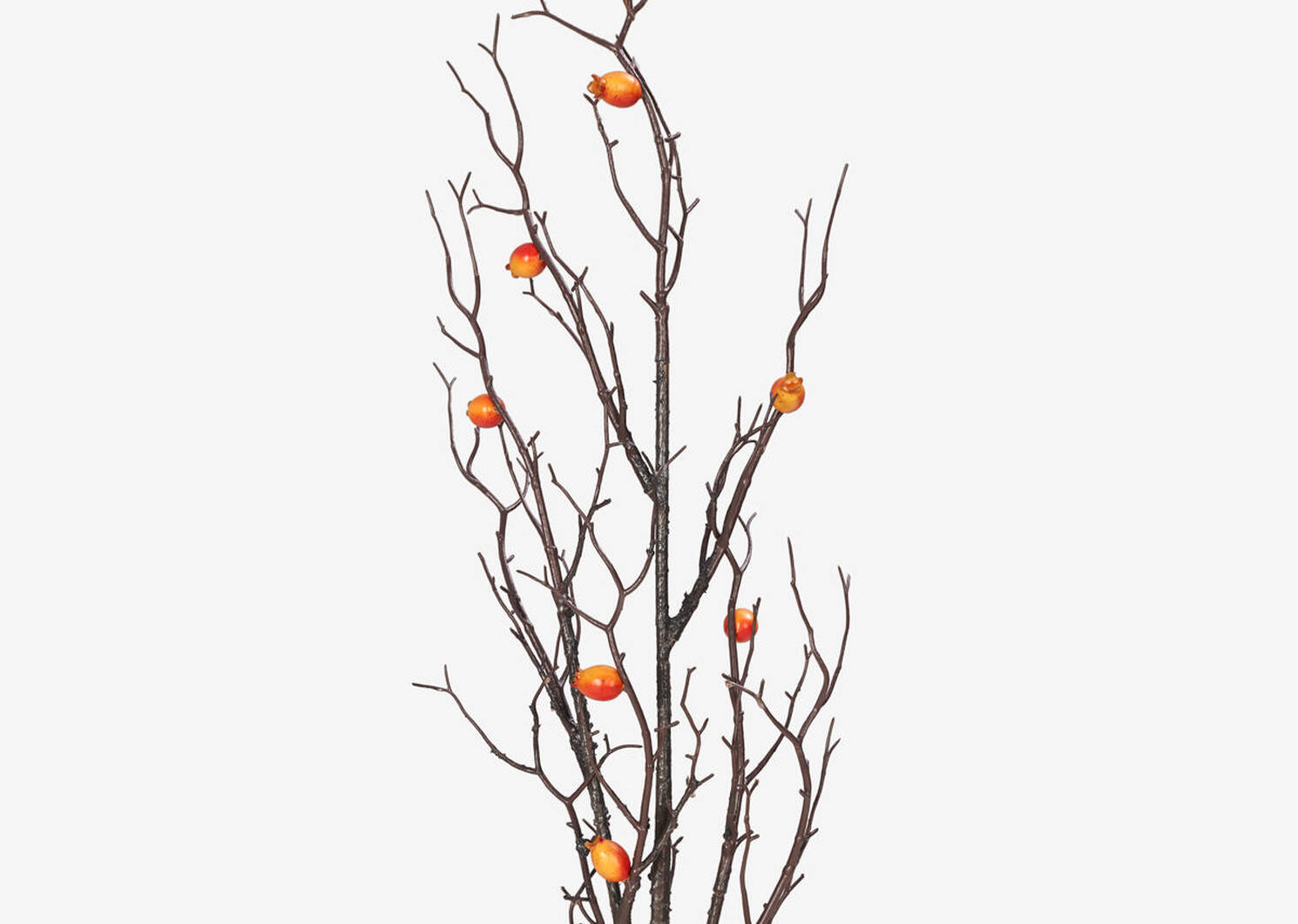 Moira Fruit Branch Cumin