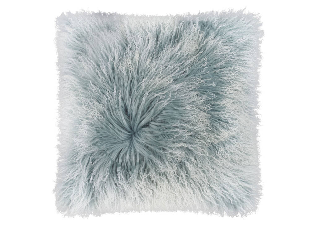 Coussin enn. Mongolian 20x20 Pacifique
