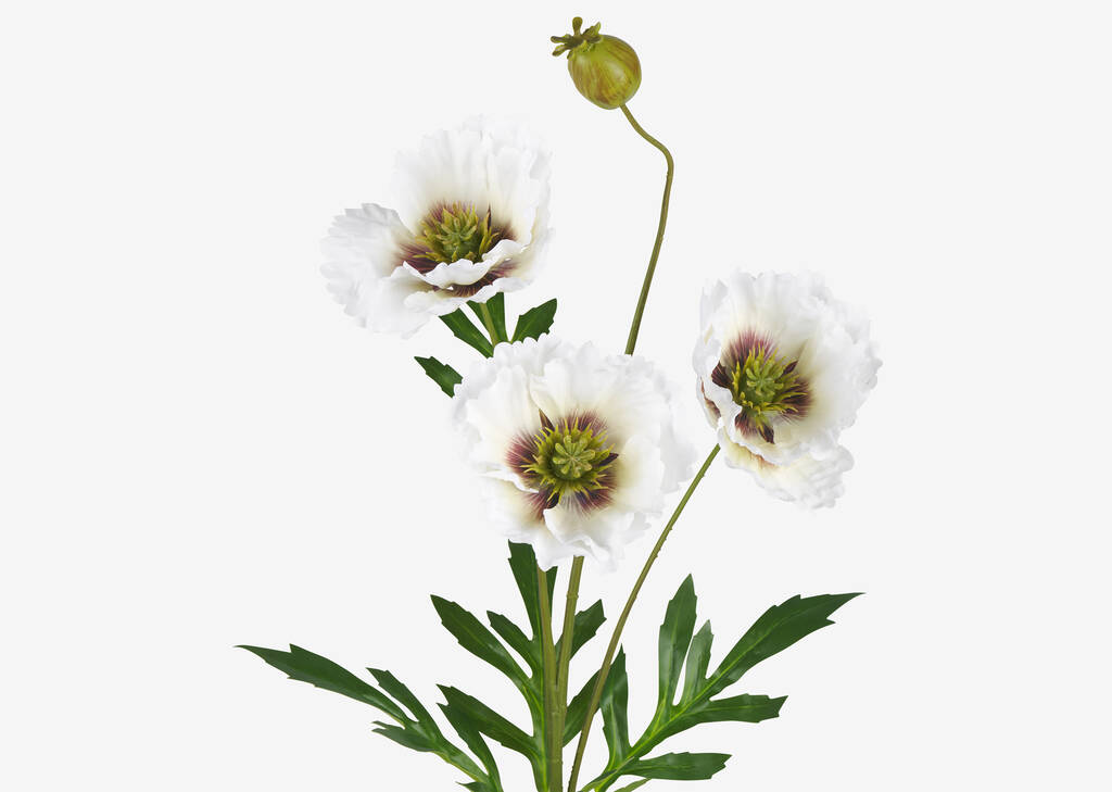 Amity Poppy Stem Ivory