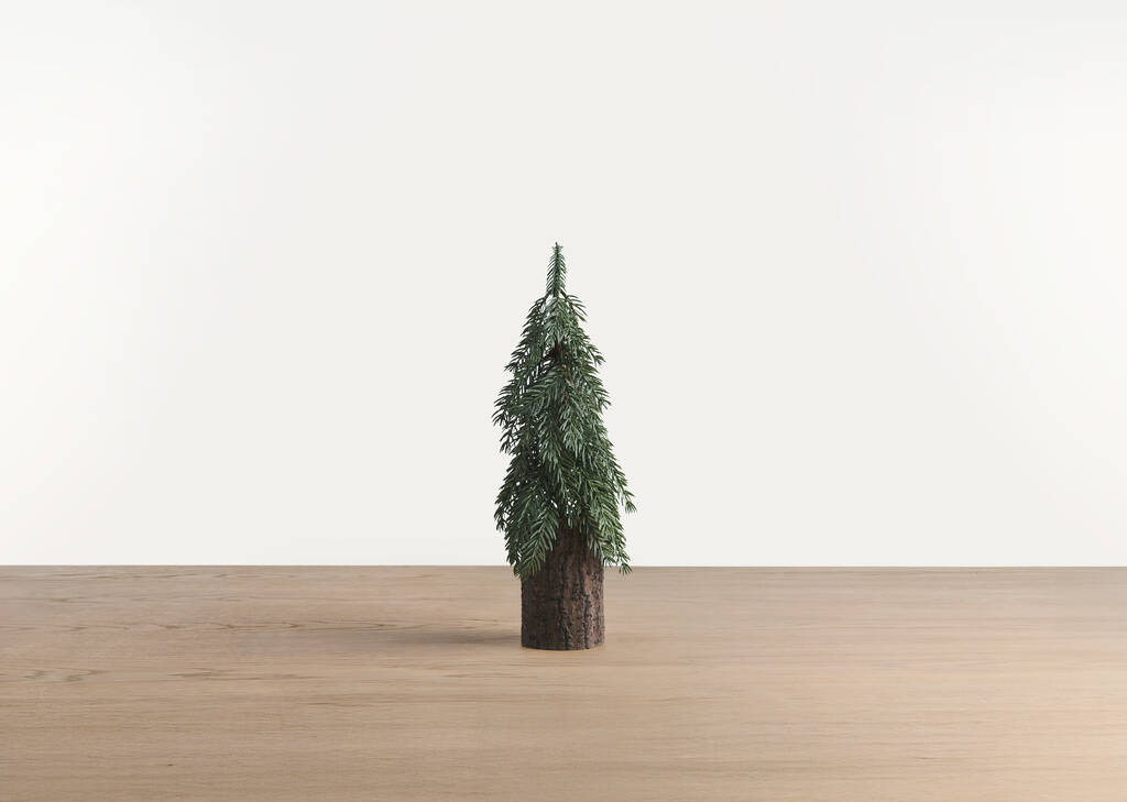 Seymour Trees