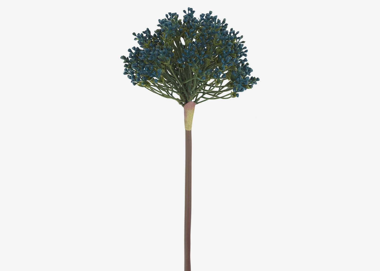 Tige d'allium Aleesa