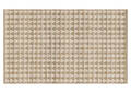 Ethan Accent Rug 36x60 Ivory/Natural