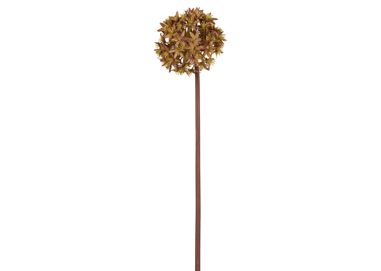 Skylynn Allium Stem Caramel