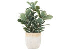 Olas Outdoor Planters