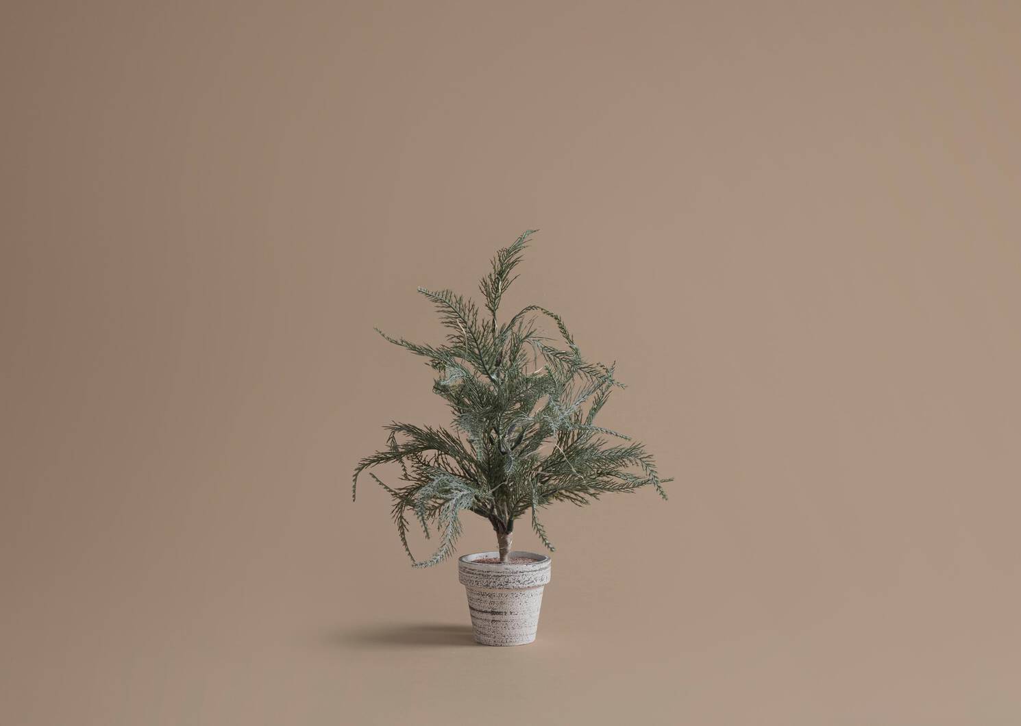 Wonderland Tree Small