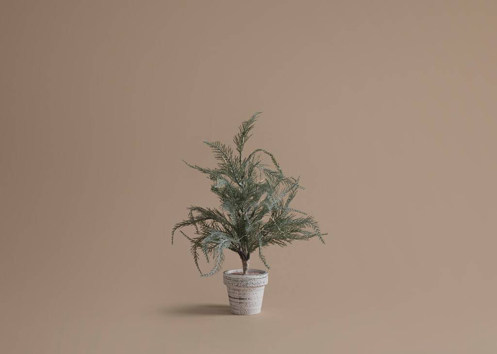 Wonderland Tree Small