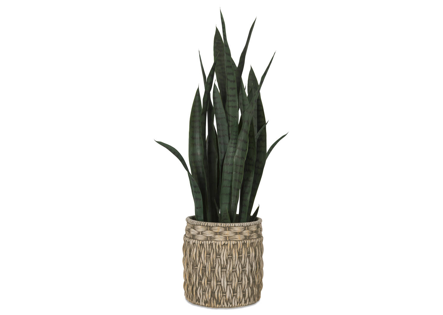 Cache-pots Solana