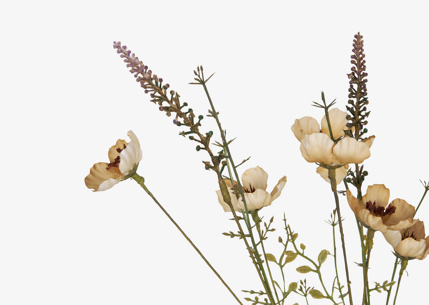 Deja Wild Rose Stem Latte