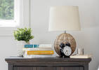 Sena Boxwood Potted