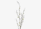 Jessa Pussy Willow Branch Grey