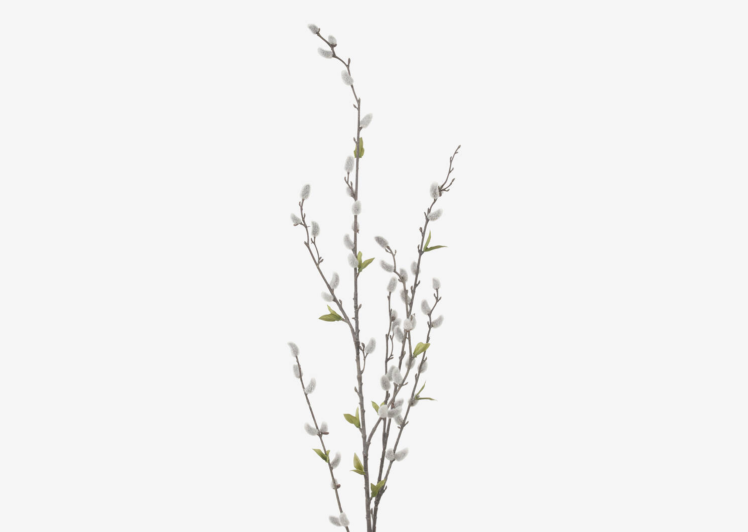 Jessa Pussy Willow Branch Grey