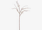 Liliana Willow Branch Stem