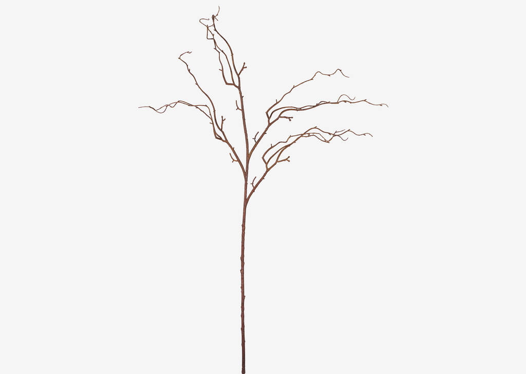 Liliana Willow Branch Stem