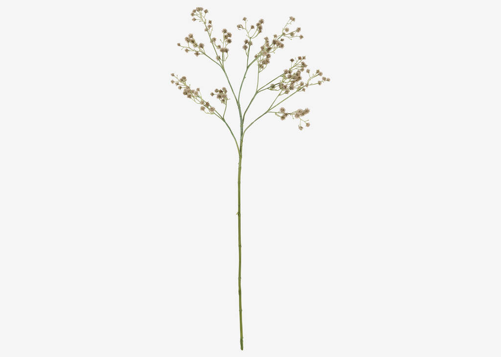 Carissa Blossom Stem Green