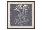 Giant Hogweed Framed Print