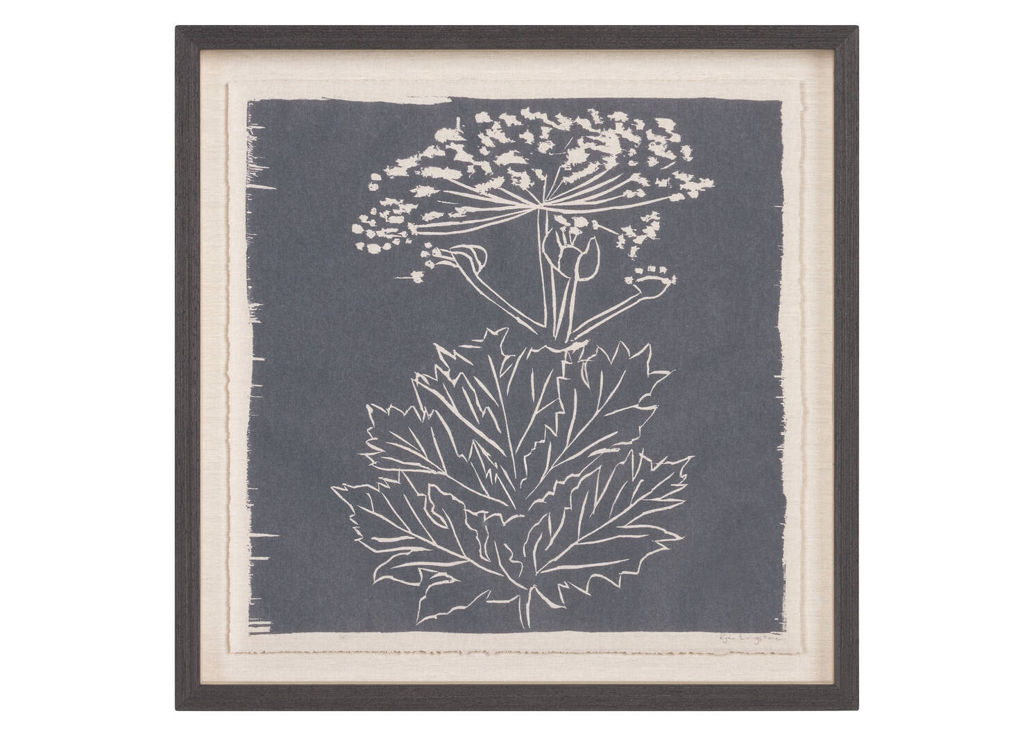 Giant Hogweed Framed Print