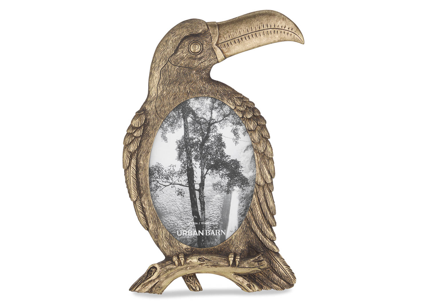 Toucan Frames -Brass