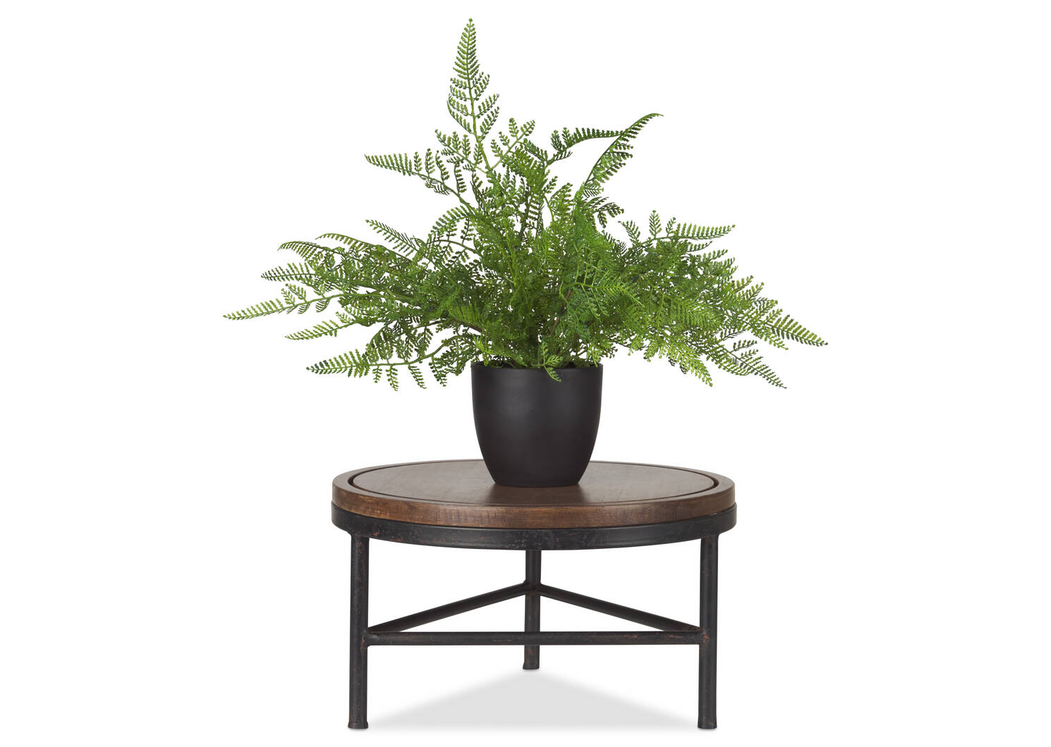 Jensen Plant Stand