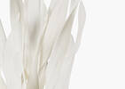 Mamie Grass Stem White