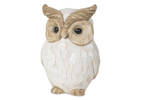 Everett Owl Decor