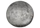 Donatella Décor Balls - Silver