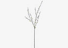 Jessa Pussy Willow Branch Grey/Brown