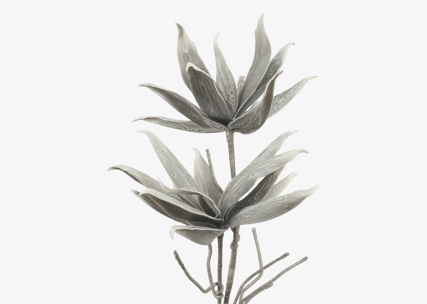 Cerro Flower Branch Grey