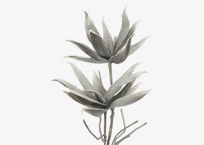 Cerro Flower Branch Grey