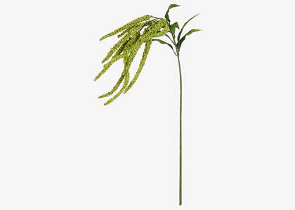 Glora Amaranthus Branch Fern